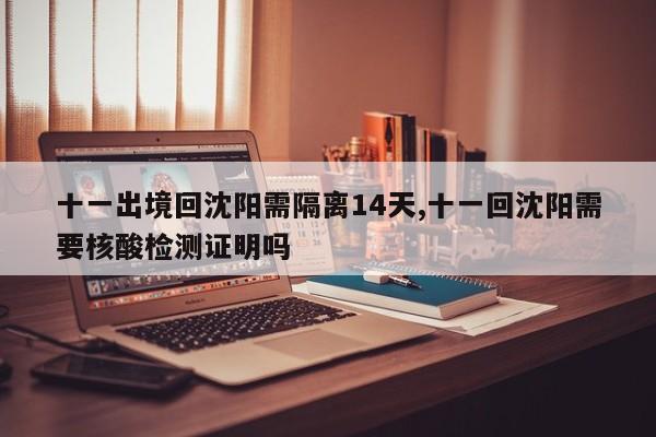 十一出境回沈阳需隔离14天,十一回沈阳需要核酸检测证明吗