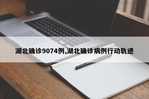 湖北确诊9074例,湖北确诊病例行动轨迹